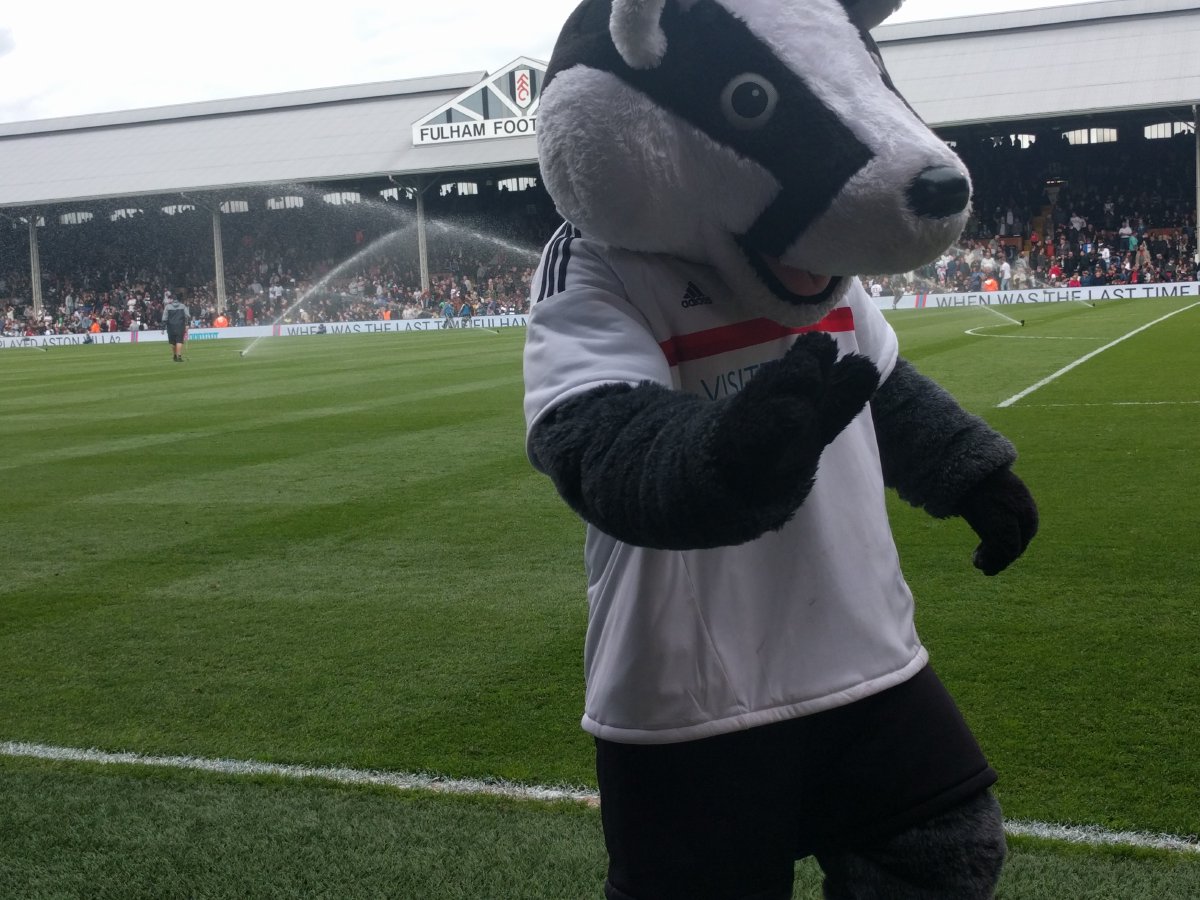 Fulham v. Aston Villa Fulham v. Aston Villa